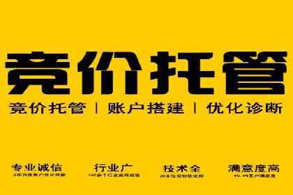 某品牌通过SEM运营推广实现增长